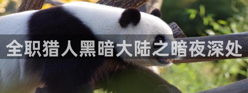 旧版虫虫漫画：全职猎人黑暗大陆之暗夜深处